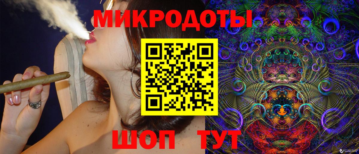 Псилоцибиновые грибы Psilocybe Геленджик