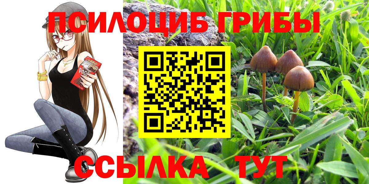 Галлюциногенные грибы ЛСД  Псилоцибиновые грибы мицелий  Геленджик  Вход с VPN 